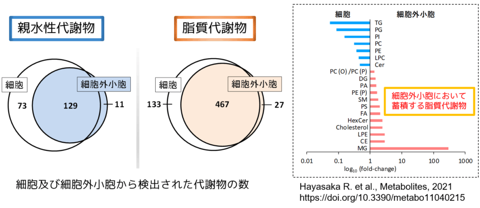 低酸素誘導した膵臓がん培養細胞から回収した細胞外小胞のメタボローム解析