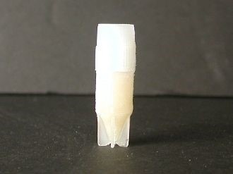 例:ヒト腱細胞