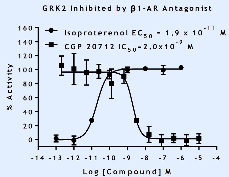 GRK2 Inhibited by β1-AR Antagonist