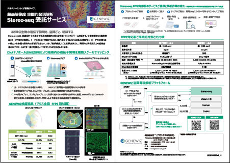 高解像度・広視野・高定量性・網羅性を兼ね備えた「Stereo-seq」