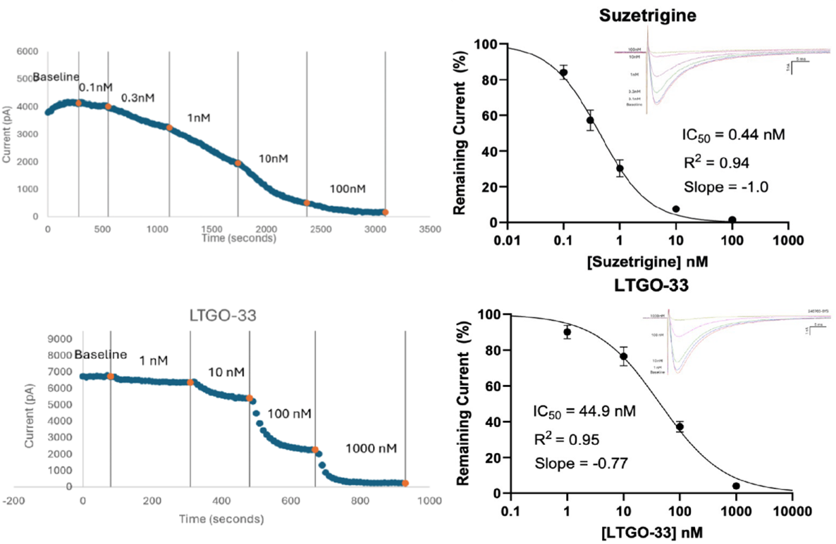 Nav1.8阻害剤によるヒト後根神経節ニューロンにおけるTTX-R電流の阻害