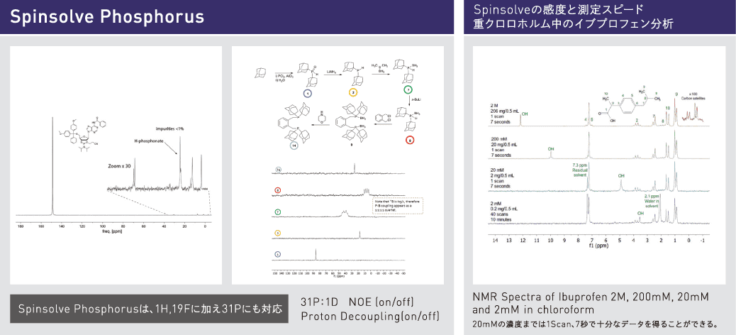 Spinsolve Phosphorus データサンプル