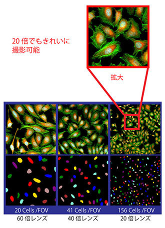 大量の情報を秘めた高精細画像