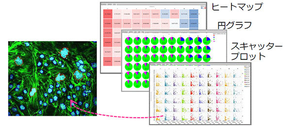 Cellpathfinder