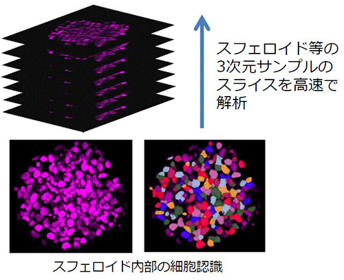 3D解析