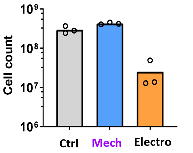 活性7日後の比較