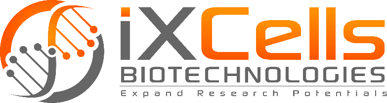 iXCells Biotechnologies