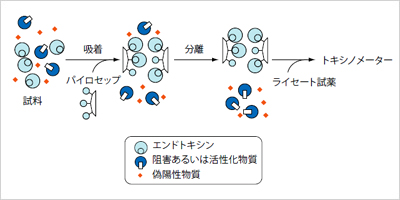 測定原理