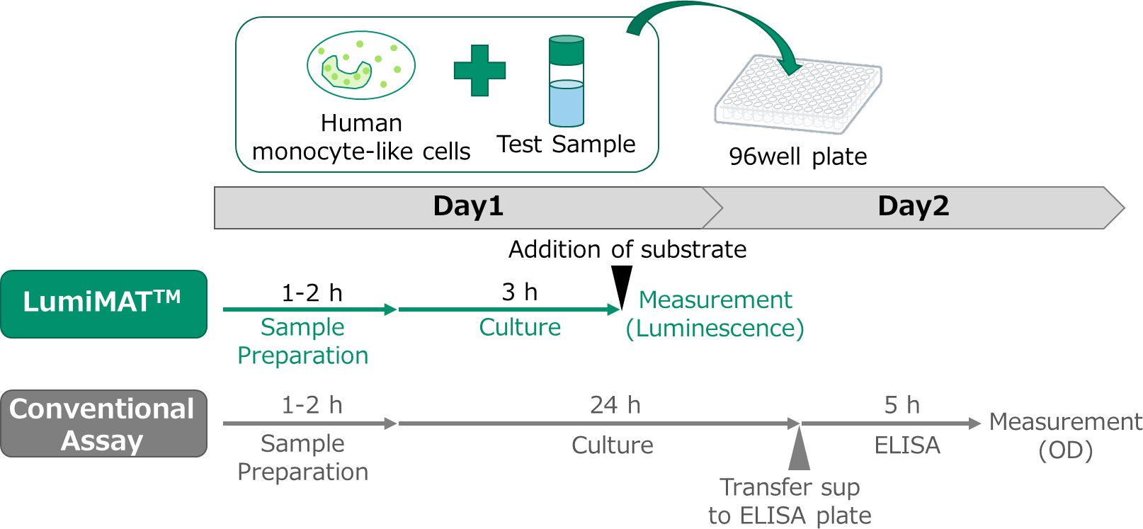 Monocyte Activation test assay principle