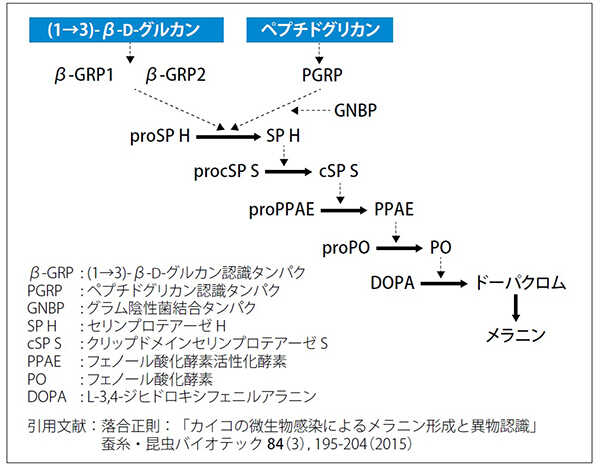 slp_reagent_set_img04.jpg