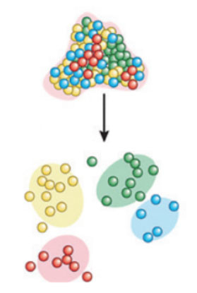 NP-Collagenase