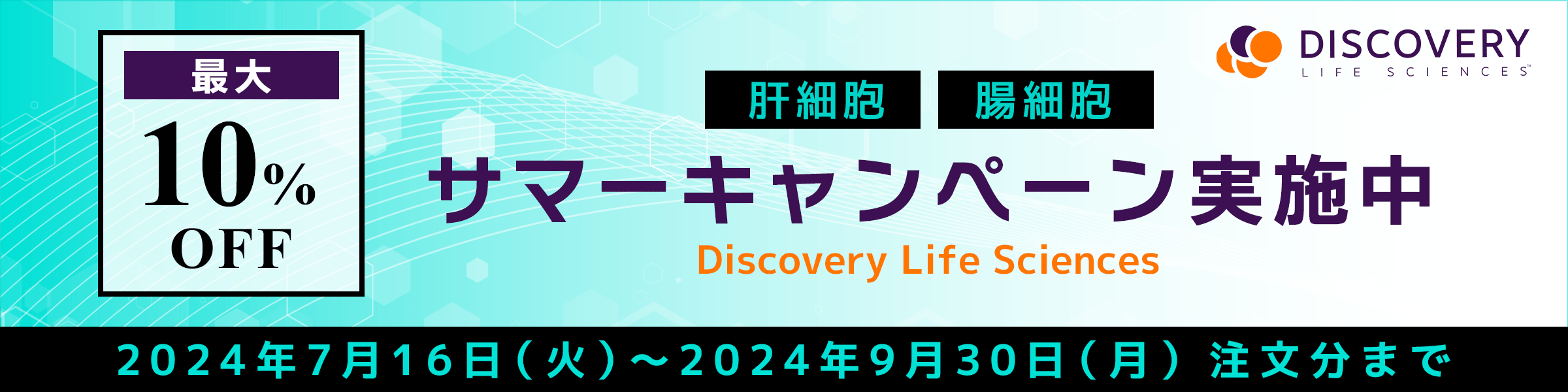 DLS社【肝細胞、腸細胞】最大10％オフ、サマーキャンペーン実施中　2024年7月16日（火）～2024年9月30日（月）注文分まで