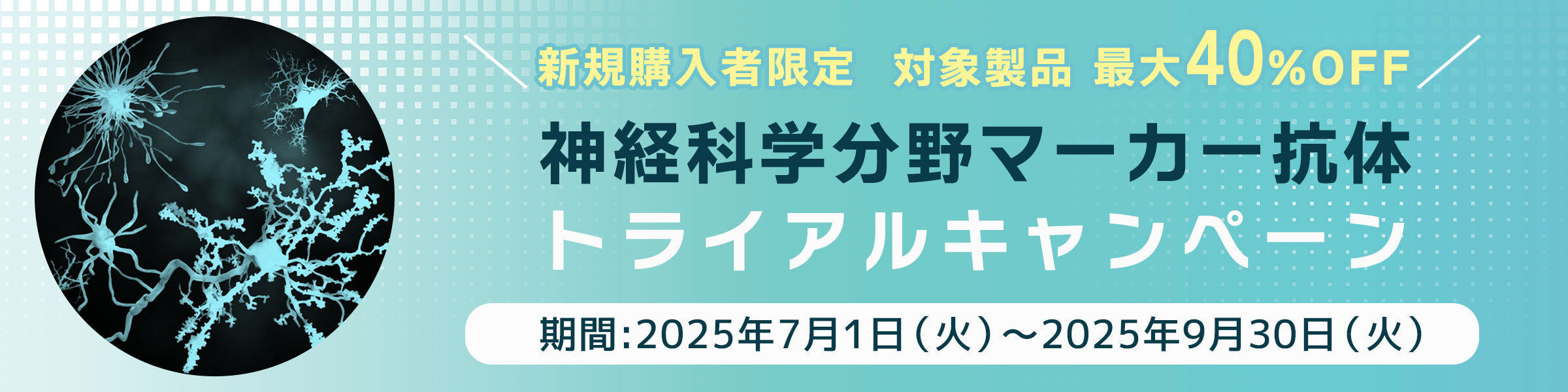 【新規購入者限定で最大40%OFF】神経科学分野マーカー抗体 トライアルキャンペーン 期間:2025年7月1日～9月30日