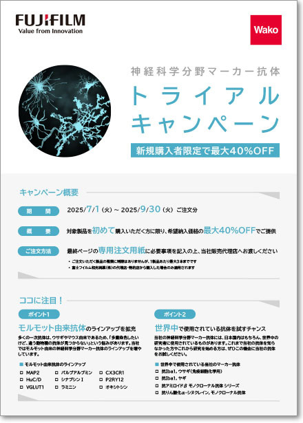 【新規購入者限定】神経科学分野マーカー抗体 トライアルキャンペーン 期間:2024年11月18日~12月31日