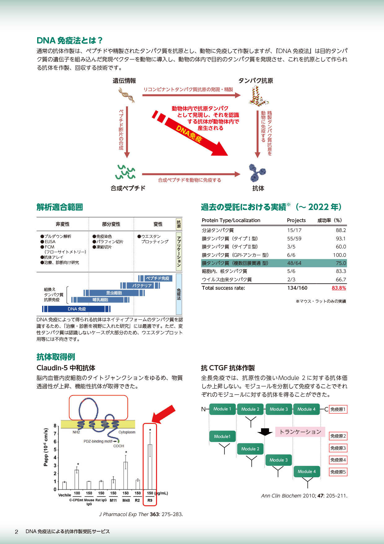 DNA免疫法による抗体作製受託サービスカタログ中面イメージ