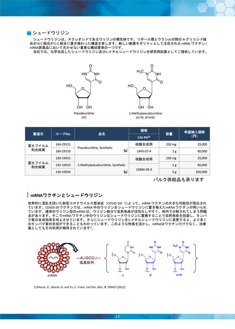 カタログコンテンツイメージ