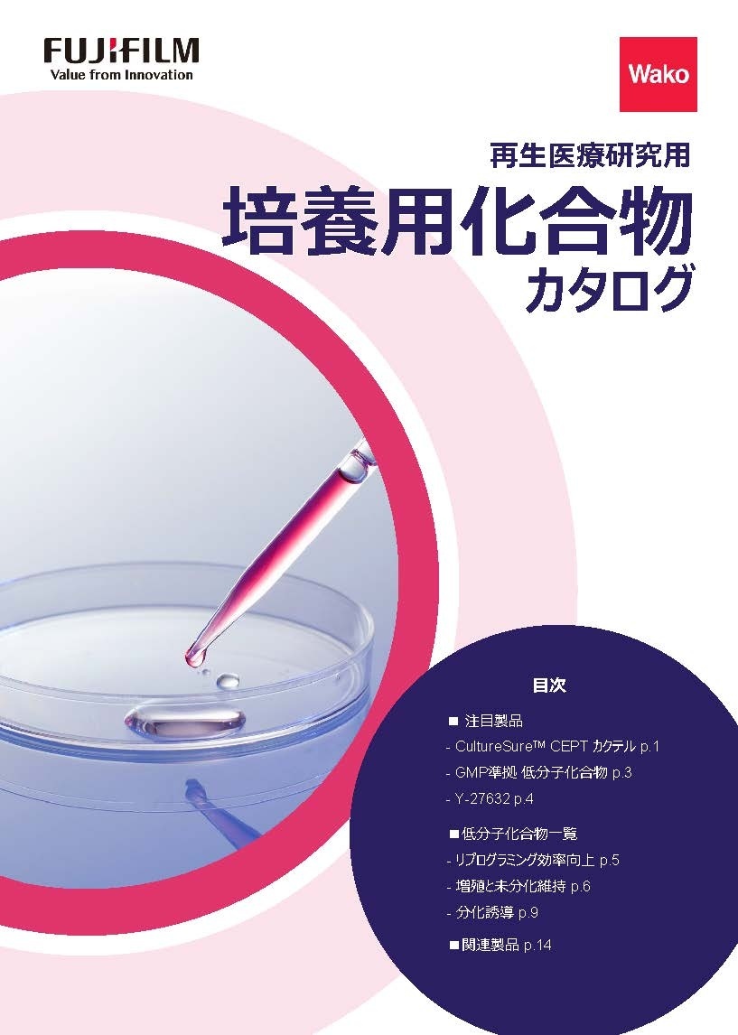 表紙イメージ
