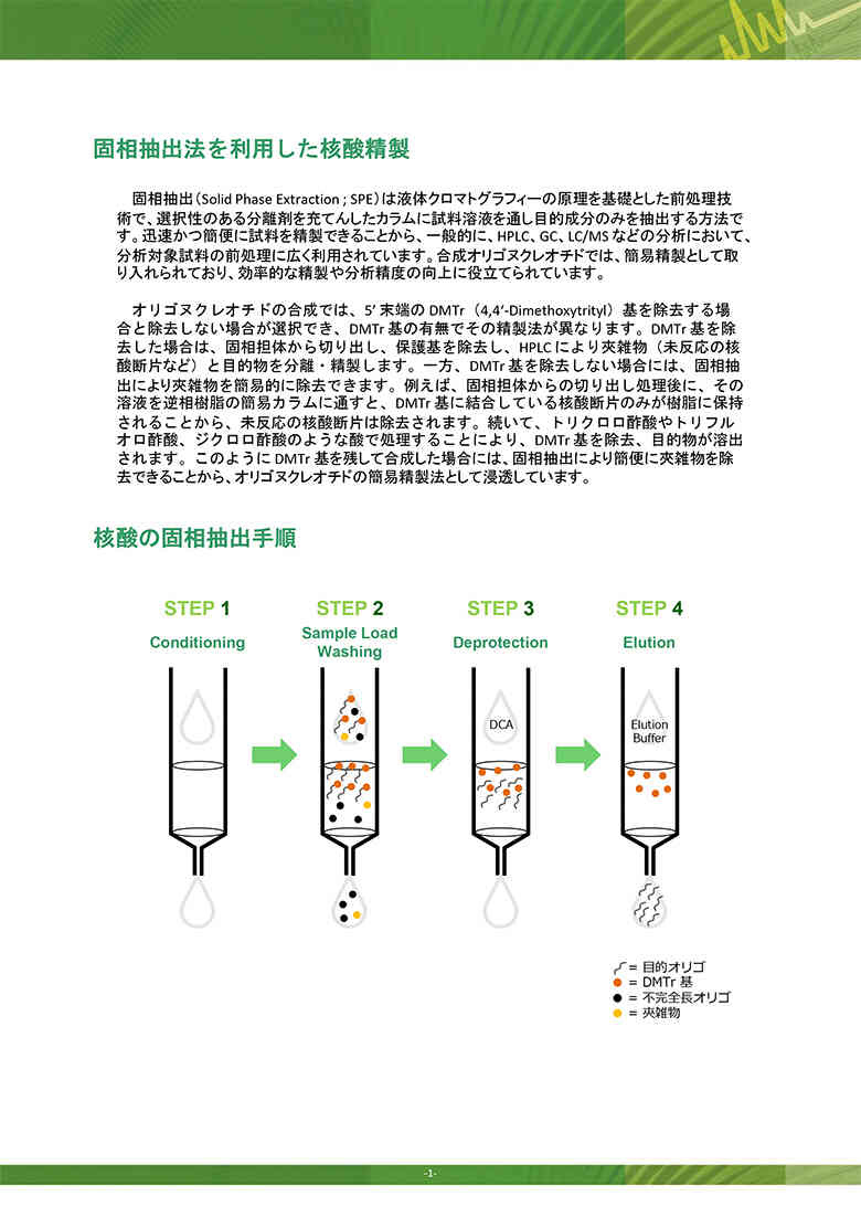 カタログコンテンツイメージ