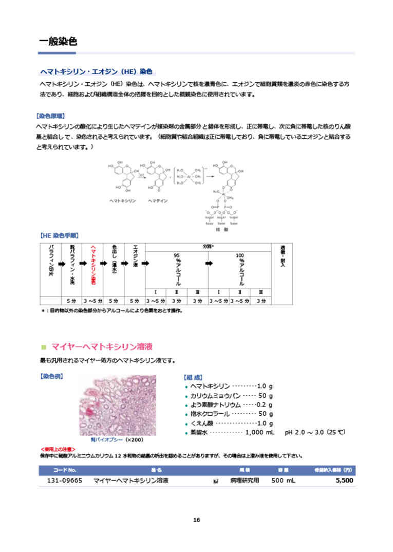 カタログコンテンツイメージ