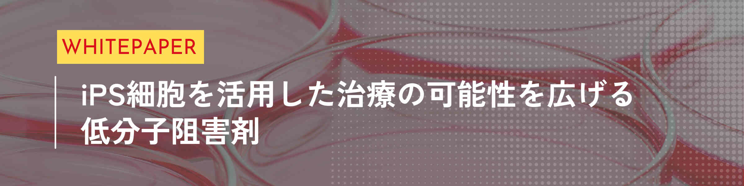 WHITE PAPER | iPS細胞を活用した治療の可能性を広げる低分子阻害剤 資料ダウンロードはこちら