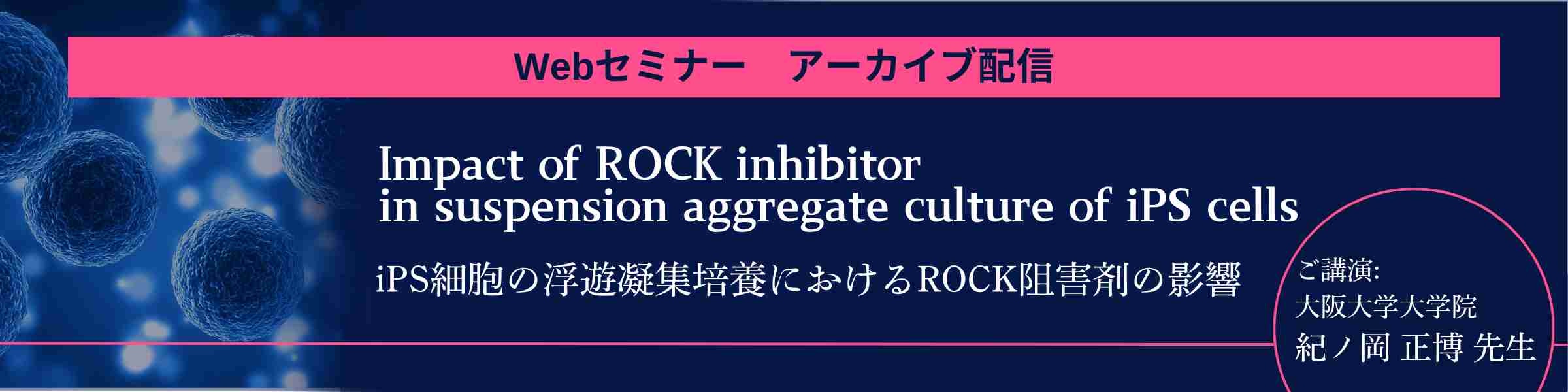 iPS細胞の浮遊凝集培養におけるROCK阻害剤の影響 Webセミナー視聴（Impact of ROCK inhibitor in suspension aggregate culture of iPS cells）