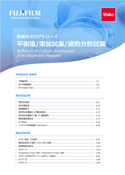 表紙イメージ