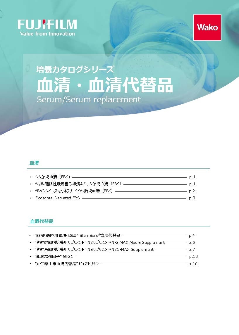 表紙イメージ