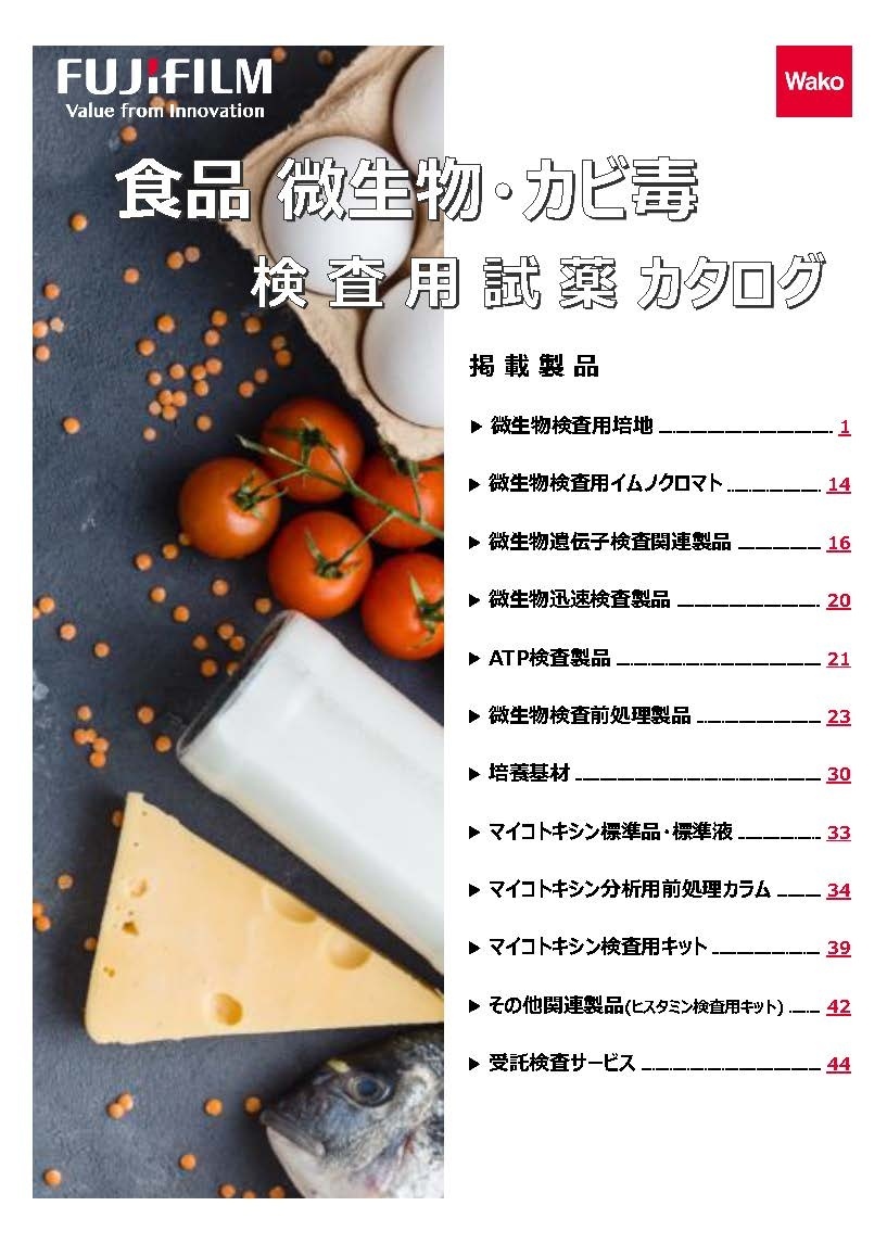 表紙イメージ
