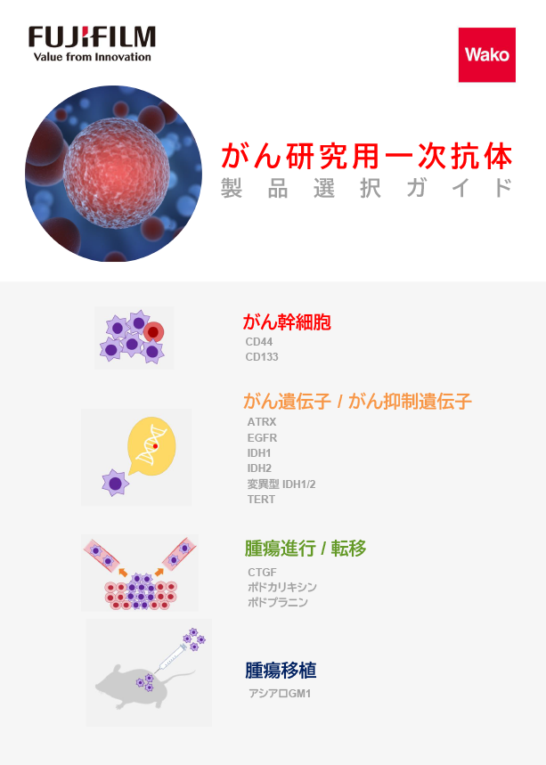カタログコンテンツイメージ
