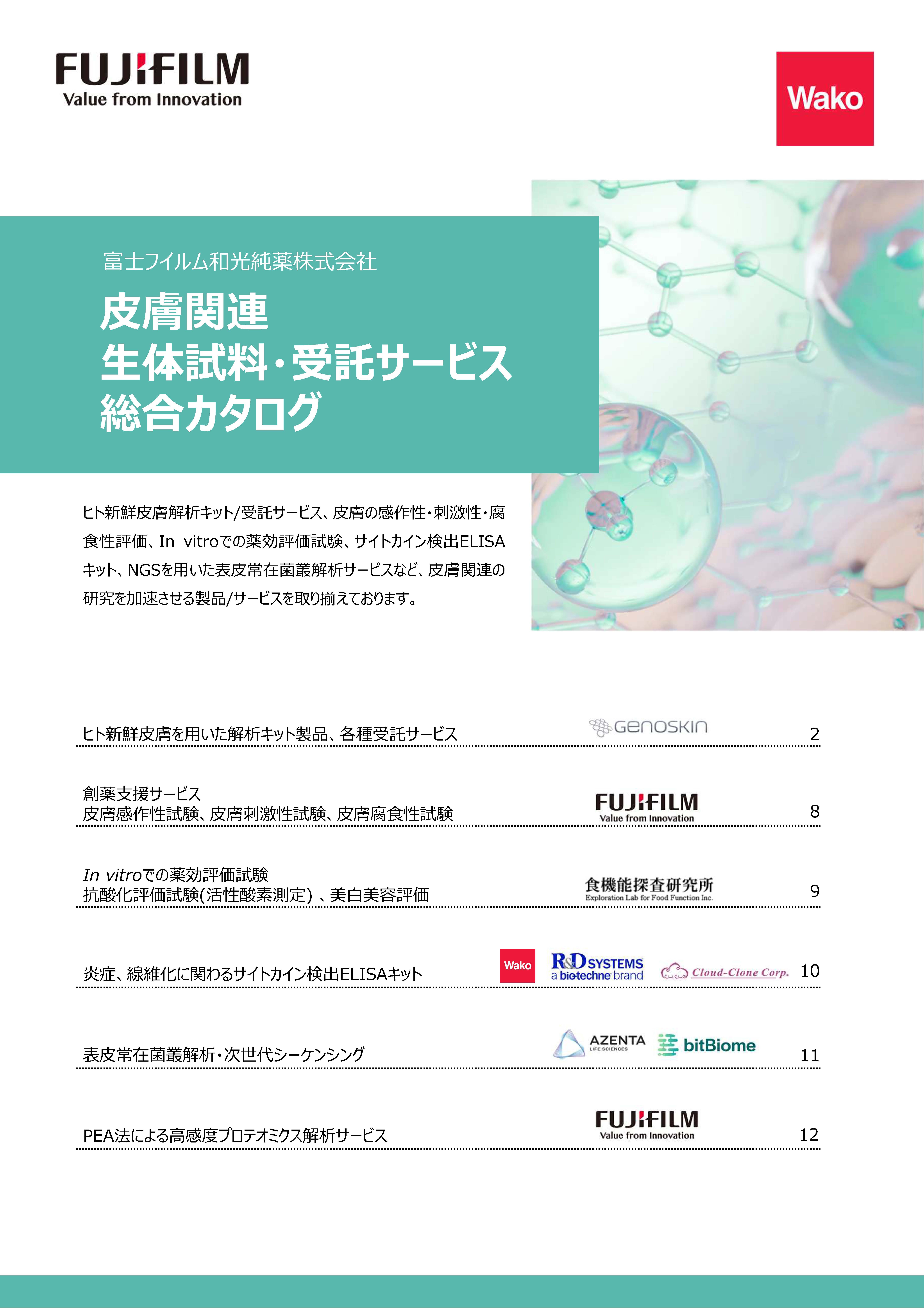 皮膚関連受託サービスカタログイメージ