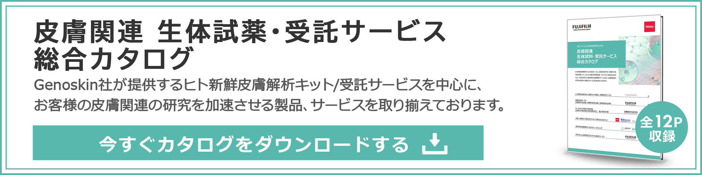 皮膚関連受託サービスカタログ