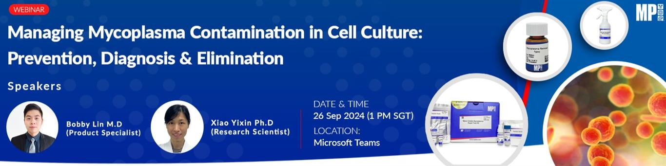 Managing Mycoplasma Contamination in Cell Culture: Prevention, Diagnosis & Elimination