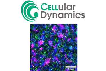 FUJIFILM Cellular Dynamics社 iPS 細胞由来分化細胞 iCell® Products