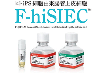 ヒトiPS 細胞由来腸管上皮細胞 F-hiSIEC™