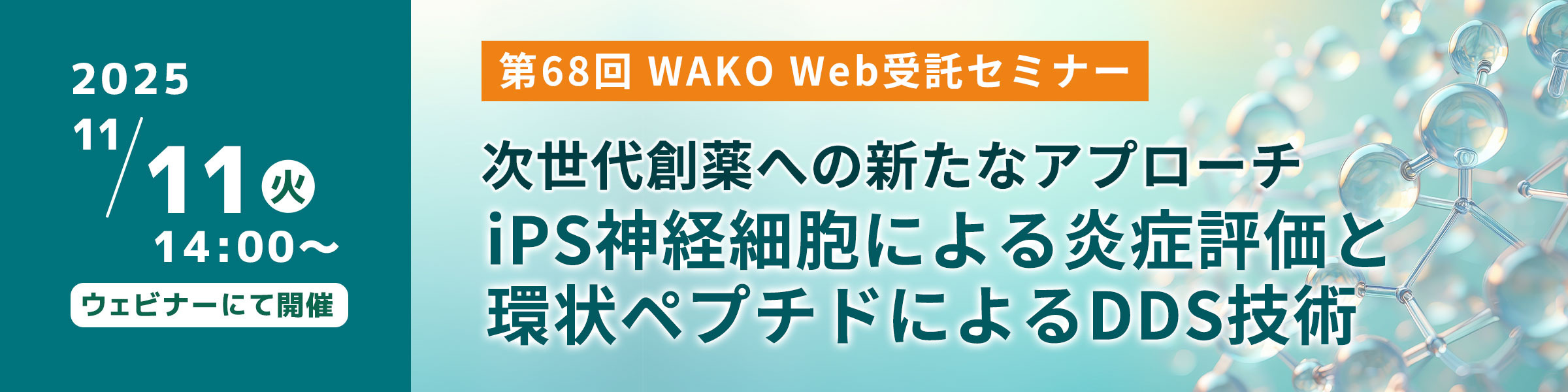 次世代創薬への新たなアプローチ「iPS神経細胞による炎症評価と環状ペプチドによるDDS技術」