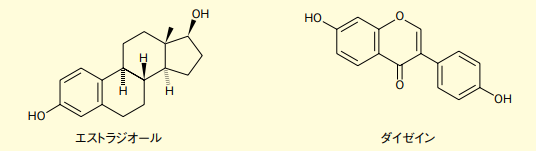 エストラジオールとダイゼイン