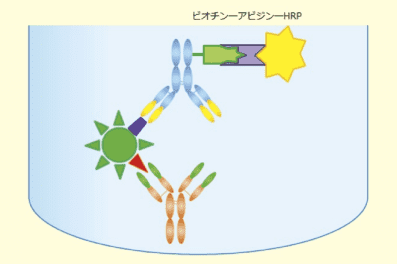 図2．