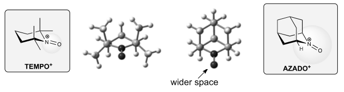 Figure 2. Comparison of structures of TEMPO+ and AZADO+