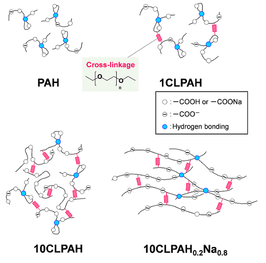 Fig.4. Schematic drawing of polymer conformation dissolved in water.