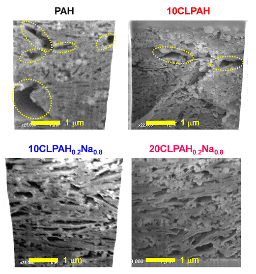 Fig.5. SEM images of the pristine electrodes.