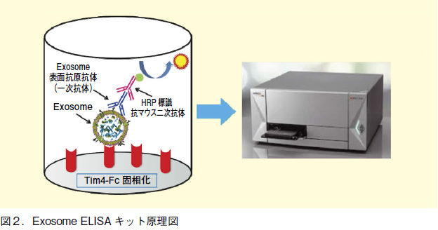 図2．Exosome ELISAキット原理図