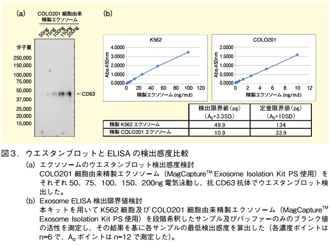 図3．ウエスタンブロットとELISAの検出感度比較