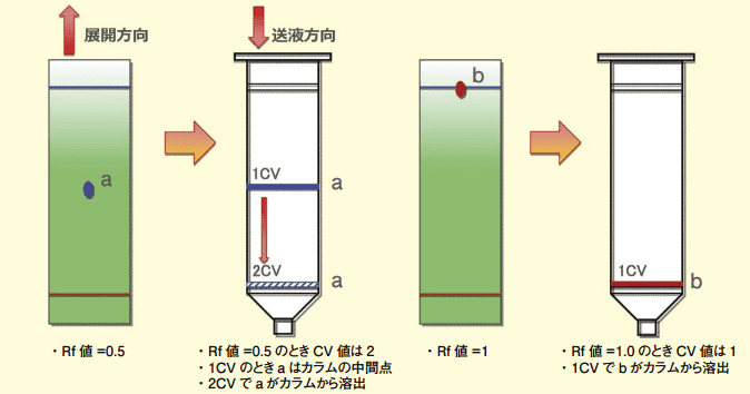 図５．TLC から分取カラムへ移行したときの溶出パターン