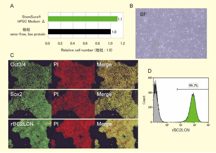 図1．hPSC Medium ⊿ の性能（ヒトiPS細胞201B7株）