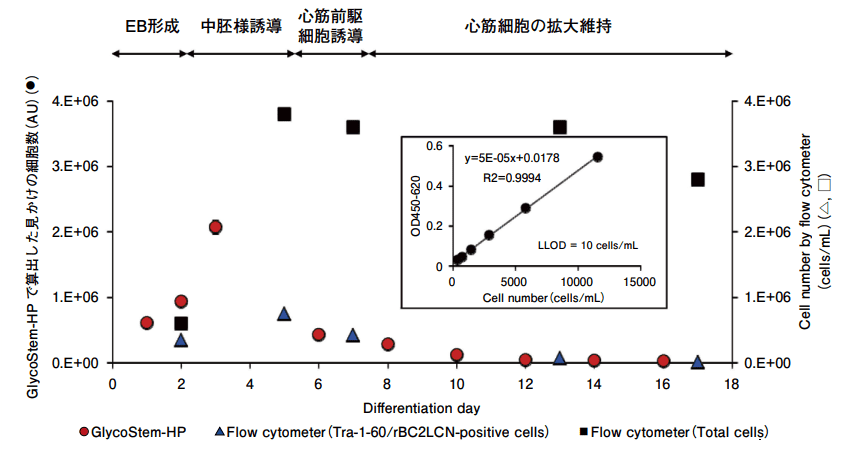 図３．GlycoStem-HP 法（ヒトES/iPS細胞モニタリングキット）を用いた心筋分化過程の未分化細胞数のモニタリング