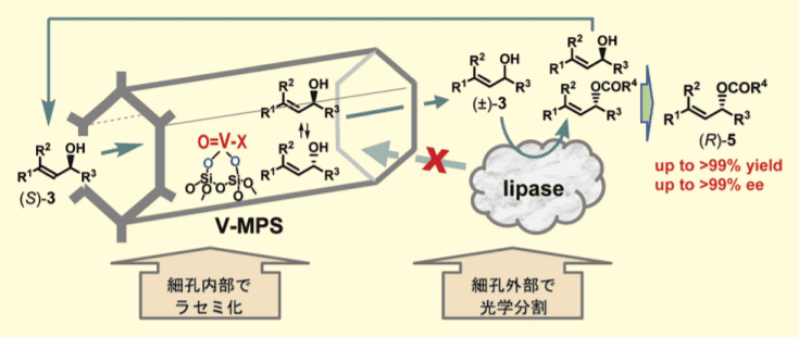 図２．MPS の細孔を利用する反応場の分離