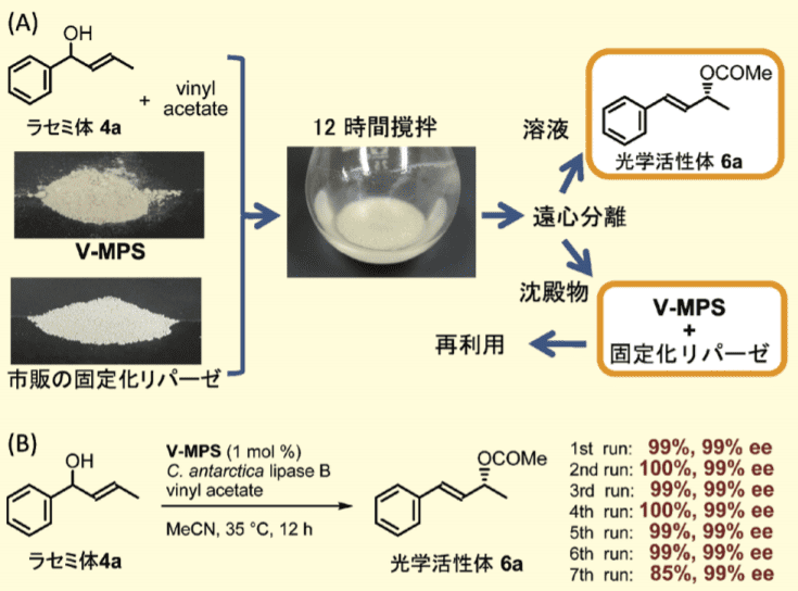 図３．（A）V-MPS と市販の固定化リパーゼを用いる DKR の概要（B）触媒の回収再利用の具体例