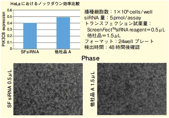 リバーストランスフェクション（1-STEP）