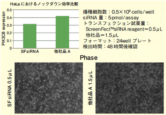 フォワードトランスフェクション（2-STEP）