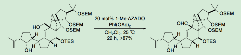 Scheme 2. Nicolaou's report on 1-Me-AZADO-catalyzed oxidation of the primary alcohol